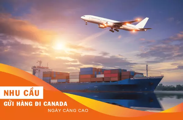 Nhu cầu vận chuyển hàng đi Canada càng nhiều nên lựa chọn các đơn vị có quy trình rõ ràng